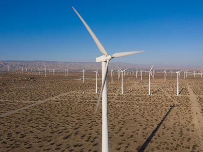 مزرعة لحصاد طاقة الرياح لتوليد الكهرباء في كاليفورنيا  - المصدر: بلومبرغ