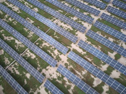 مزارع للطاقة الشمسية - المصدر: بلومبرغ