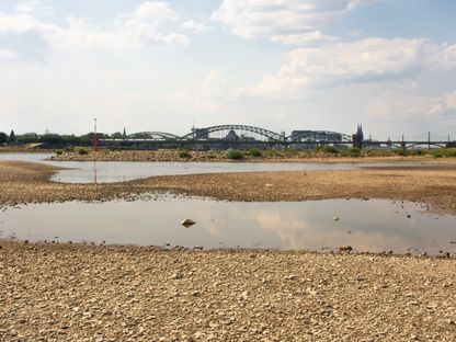انخفاض منسوب نهر الراين في كولون، ألمانيا، 15 يونيو - المصدر: غيتي إيمجز