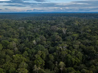 صورة جوية لغابات الأمازون المطيرة في البرازيل - بلومبرغ