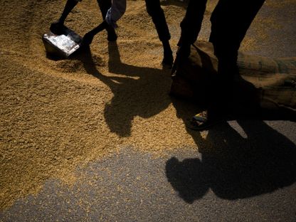 عمال يحفظون الأرز في سوق الجملة في ضواحي نيودلهي ، الهند - المصدر: بلومبرغ