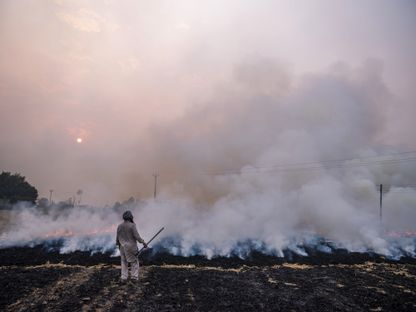 أحد المزارعين يتابع حرق قش الأرز في مدينة باتيالا في ولاية بنجاب، الهند - المصدر: بلومبرغ