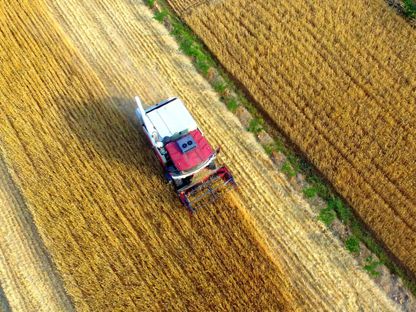 مزارعون يحصدون القمح في الحقول في قرية \"زيابو\" في \"لينوي\" بمقاطعة شاندونغ شرق الصين.  - المصدر: غيتي إيمجز