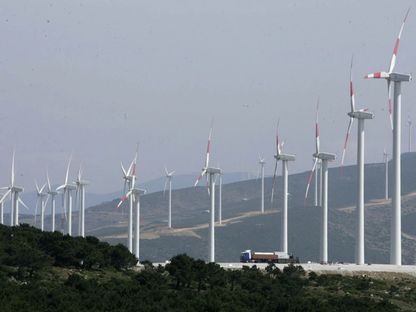 مجموعة من التوربينات في مزرعة لطاقة الرياح في طنجة، المغرب - المصدر: بلومبرغ