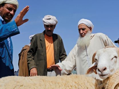 رجل يشتري خروفاً من سوق الماشية قبيل عيد الأضحى، في مدينة وجدة المغربية (صورة أرشيفية) - رويترز