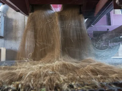 القمح يتدفق بكثافة من فتحتين أسفل آلة تفريغ داخل منشأة زراعية أميركية - بلومبرغ