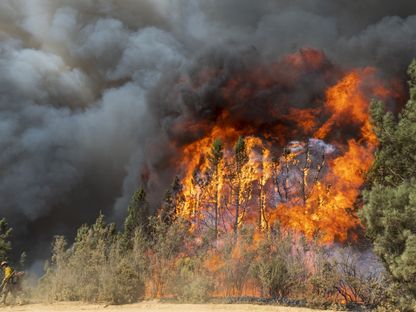 حرائق الغابات بولاية كاليفورنيا الأمريكية - المصدر: بلومبرغ