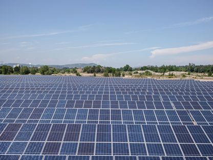 ألواح شمسية في حقل لحصاد الطاقة في لودون لاردواز بفرنسا. - المصدر: بلومبرغ