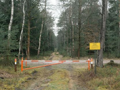 لافتات حول موقع إجراء التجارب التابع لـ\"راينميتال\" في الغابات بالقرب من انتريلوس، ألمانيا، وتحمل عبارة: \"منطقة رماية/ خطر على الحياة/ ممنوع الدخول\" - المصدر: بلومبرغ