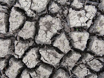 أرض أصابها الجفاف بسبب انخفاض منسوب المياه في نهر المسيسيبي في غرينفيل، ميسيسيبي، الولايات المتحدة، بتاريخ 1 نوفمبر 2022. - المصدر: بلومبرغ
