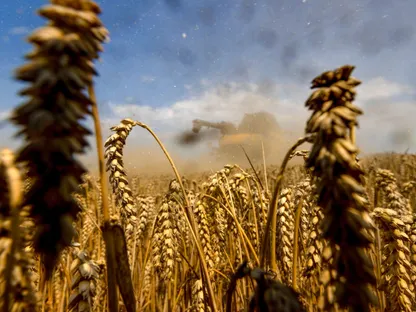 آلة حصاد تشق طريقها وسط حقل مليء بسنابل القمح الناضجة في ذروة الموسم، ضمن حقول تابعة لشركة \"غوت شتيفين\" في مدينة شتيفين بألمانيا - بلومبرغ