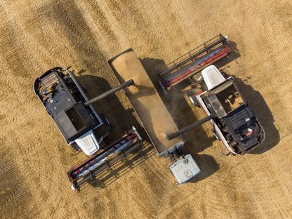 ماكينات حصد تفرغ حمولة حبوب القمح في شاحنة بمزرعة في قرية تيرسكي، بالقرب من ستافروبول، روسيا. - المصدر: بلومبرغ