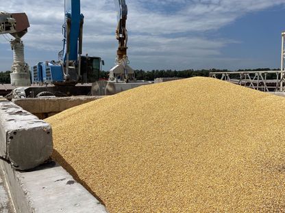 كومة من حبوب الذرة في ميناء إسماعيل البحري، أوديسا في أوكرانيا - المصدر: غيتي إيمجز