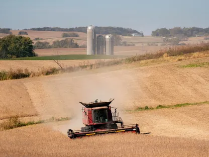 حصاد فول الصويا في مزرعة قرب مدينة روتشستر، ولاية مينيسوتا، الولايات المتحدة - بلومبرغ