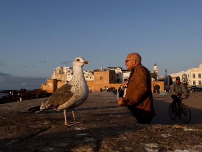 طائر نورس يقف قرب رجل ينتظر مشاهدة غروب الشمس في ميناء \"الصويرة\" الساحلي الأطلسي، المغرب - رويترز