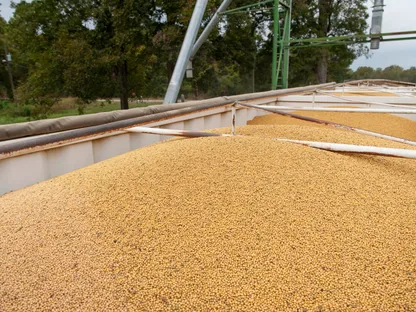 حصاد فول الصويا. اشترت الصين ما لا يقل عن شحنتين من فول الصويا الأميركي، في أول صفقة مُعلنة لها هذا الموسم - بلومبرغ