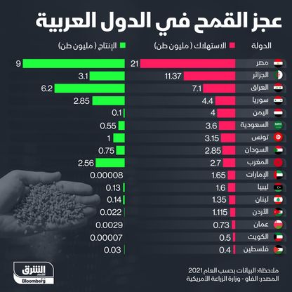 عجز القمح في الدول العربية - المصدر: الشرق