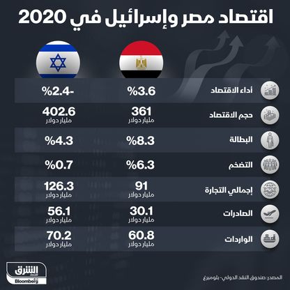 اقتصاد مصر وإسرائيل في 2020 - المصدر: الشرق