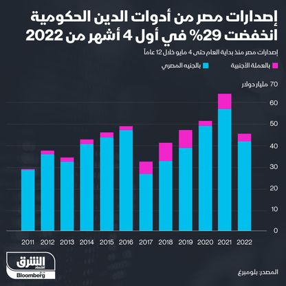 إنفوغراف.. إصدارات مصر من أدوات الدين الحكومية تنخفض 29%