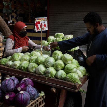 مصر تحصل على مليارَي دولار من الصندوق الدولي للتنمية الزراعية