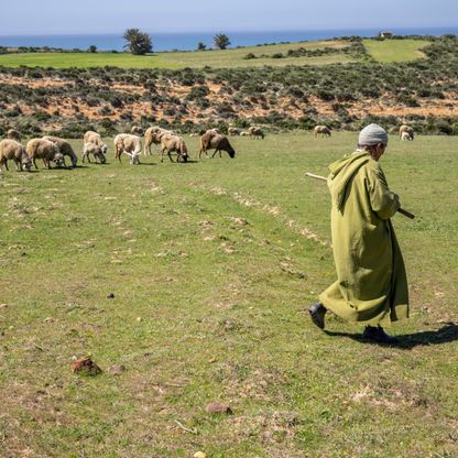 المغرب يخفض توقعات النمو في 2024 وسط استمرار تداعيات كورونا