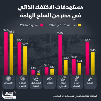 مستهدفات مصر للاكتفاء الذاتي من السلع الأساسية في 2025 - الشرق/بلومبرغ