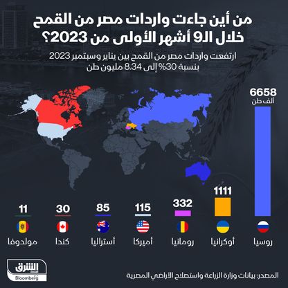 30% ارتفاع في واردات مصر من القمح منذ بداية العام وحتى سبتمبر - المصدر: بلومبرغ