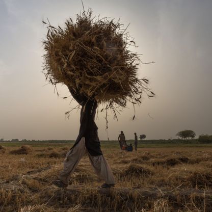 تغير المناخ يتسبب في فقدان خمس نمو الناتج الغذائي العالمي