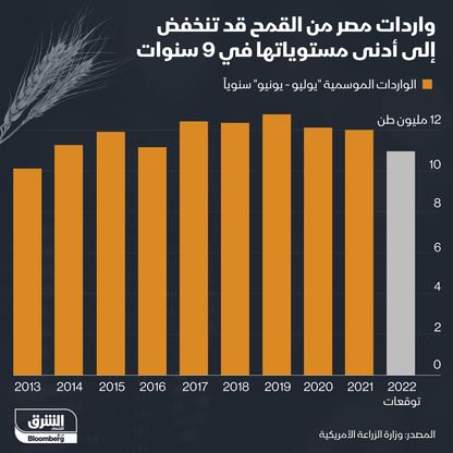 إنفوغراف .. واردات مصر من القمح قد تنخفض لأدنى مستوياتها في عقد 