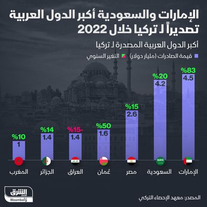 الصادرات العربية إلى تركيا في 2022 - المصدر: الشرق