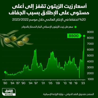 سعر طن زيت الزيتون منذ عام 1980 - المصدر: بلومبرغ