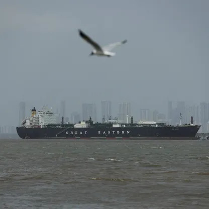 طائر يحلق بالقرب من سفينة "جاغ فاسانت" التي تنقل غاز البترول المسال في ميناء مومباي بالهند بعد عبورها مضيق هرمز - رويترز 