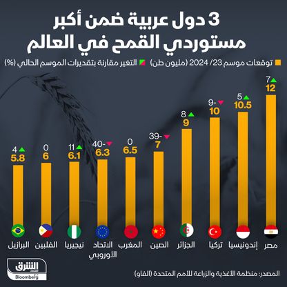 3 مراكز للعرب ضمن قائمة أكبر مستوردي القمح عالمياً لموسم 2023 - 2024 - الشرق/بلومبرغ