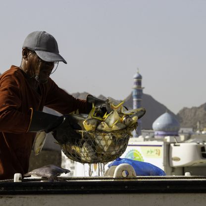 "تنمية طاقة عُمان" تعتزم طرح صكوك بقيمة مليار دولار