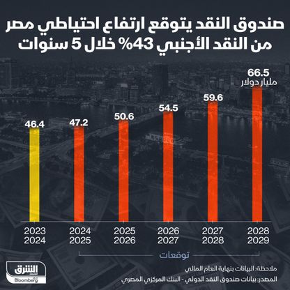 توقعات صندوق النقد الدولي لاحتياطيات مصر الأجنبية في السنوات الخمس القادمة - الشرق