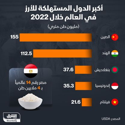 إنفوغراف: مصر بين أكثر دول العالم استهلاكاً للأرز