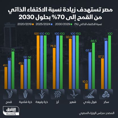 إنفوغراف: مصر تستهدف رفع اكتفائها الذاتي من القمح إلى 70% بحلول 2030