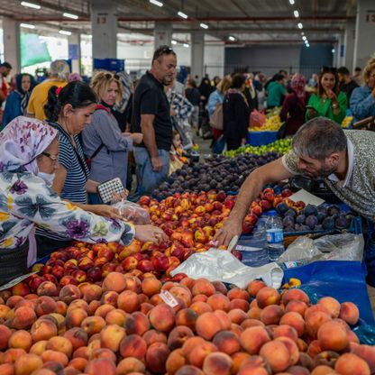 تركيا تتجه لتعديل توقعات التضخم بعد خفض أسعار الفائدة