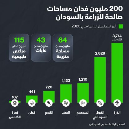 200 مليون فدانم صالحة للاستزراع في السودان - المصدر: الشرق