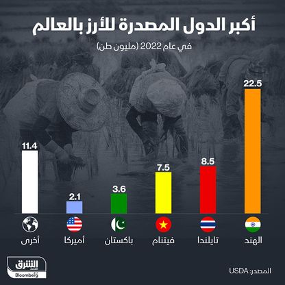 أكبر الدول المصدرة للأرز في 2022 - المصدر: الشرق