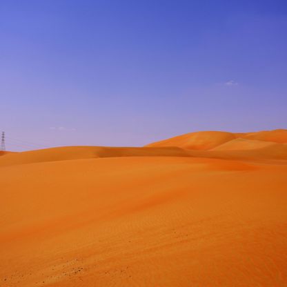 بيور هارفيست  الإماراتية تجمع 60 مليون دولار لغزو الصحراء زراعياً