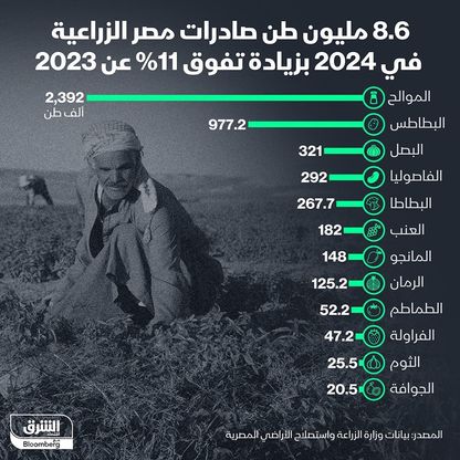 إنفوغراف: صادرات مصر الزراعية تنمو 11% في 2024