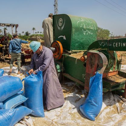 زيادة أجور القطاع الخاص في مصر مجدداً مع تدهور سعر الجنيه