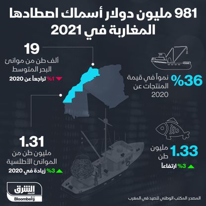 981 مليون دولار  أسماك اصطادها المغاربة في 2021 - المصدر: الشرق