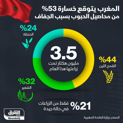 إنفوغراف.. المغرب يتوقع خسارة نصف محصوله من الحبوب بسبب الجفاف