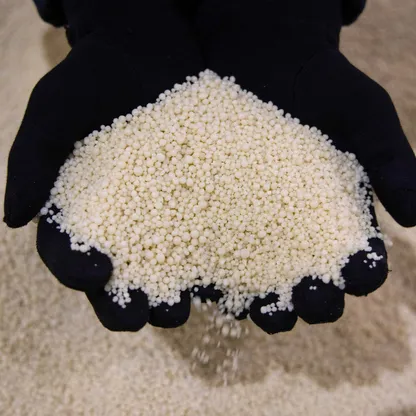 عامل يعرض حبيبات سماد الفوسفات. علّقت روسيا مؤقتاً صادرات نترات الأمونيوم، ما يضيق أكثر الإمدادات العالمية من مغذيات المحاصيل التي تعاني بالفعل من ضغوط بسبب حرب إيران. - بلومبرغ