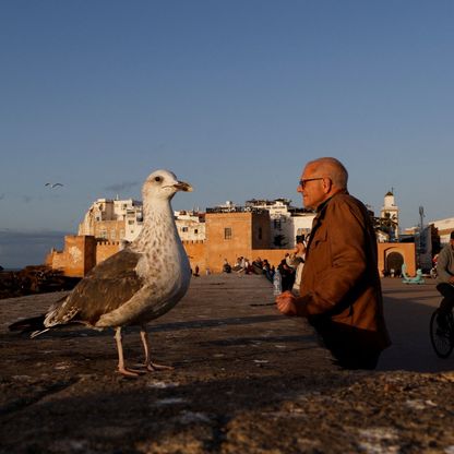 هل يحقق المغرب "ريمونتادا" اقتصادية في 2025 بفضل المونديال؟