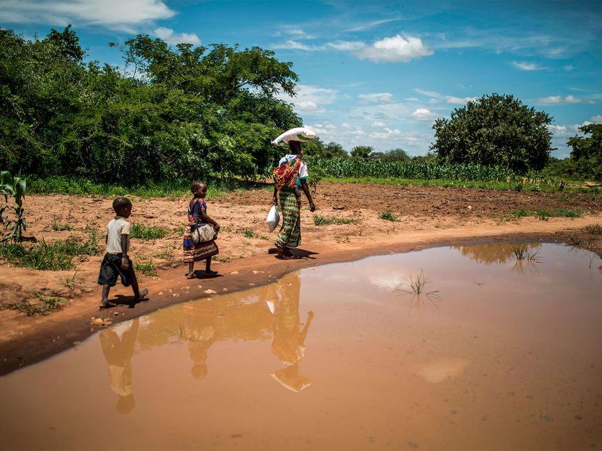 A woman and her children walk back home after collecting food aid in Simumbwe, Zambia, in January. - Photographer: Guillem Sartorio/AFP via Getty Images