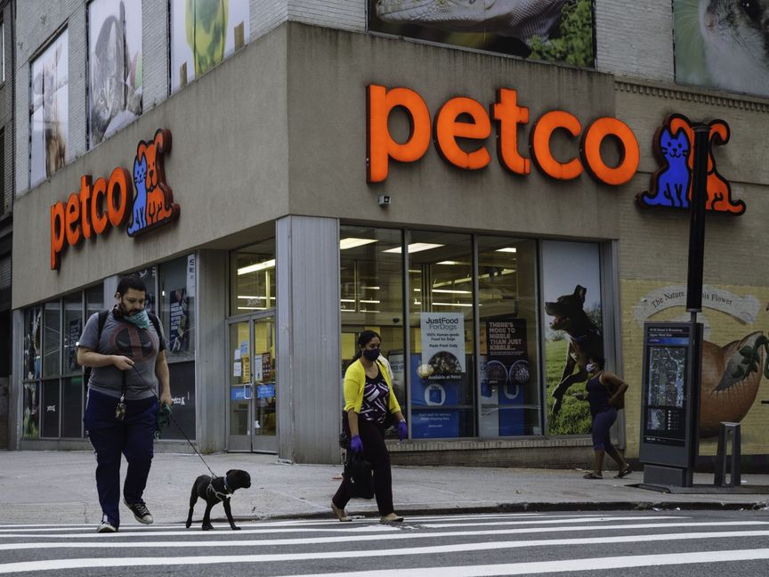 متاجر  بيتكو (Petco) لتقديم الخدمات الصحية للحيوانات الأليفة - المصدر: بلومبرغ