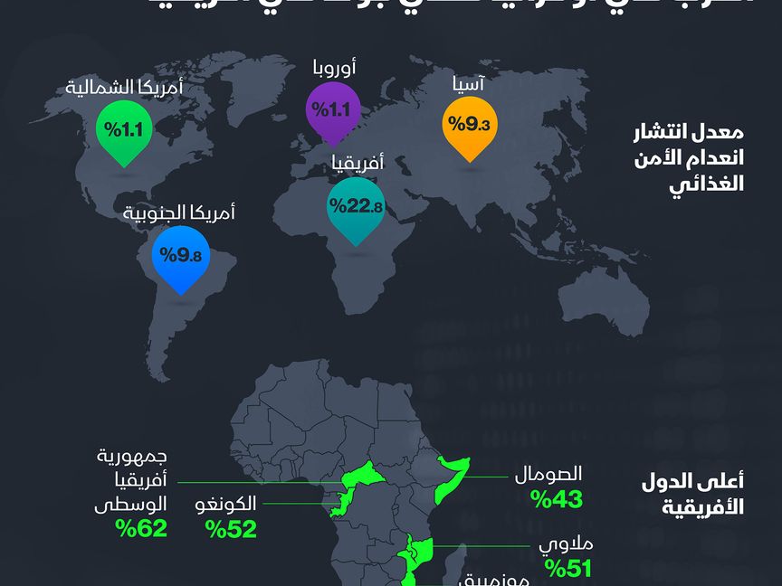 تأثير الحرب في أوكرانيا على أفريقيا - المصدر: الشرق